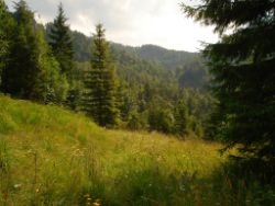 2013-07-20_Regina-F-Rau_Kochel-Rabenkopf (325).JPG